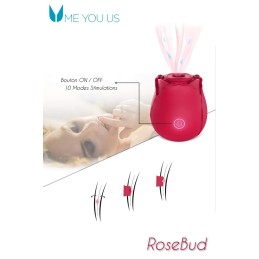 Rebeccatils Loveshop dans le 75 Bouton de Rose stimulateur