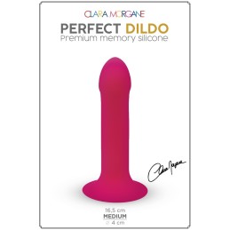 Rebeccatils Loveshop dans le 75 Perfect Dildo Ventouse